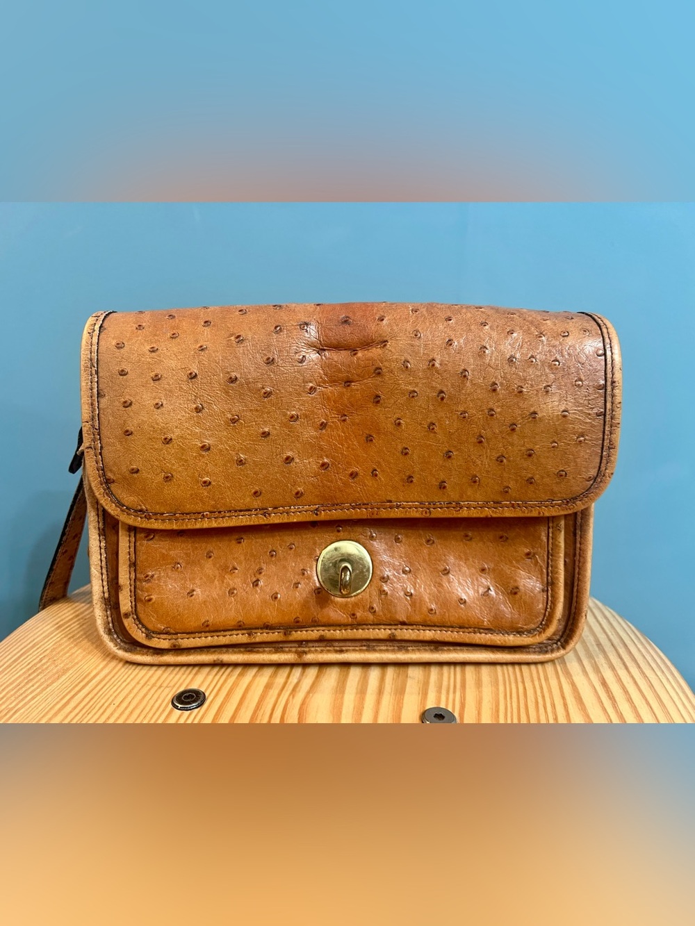 Vintage Dooney & Bourke All Weather Ostrich Crossbody Shoulder Bag USA - Picture 2 of 7